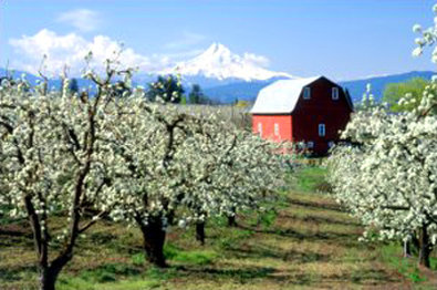 Best Western Plus-Hood River - Hood River, OR