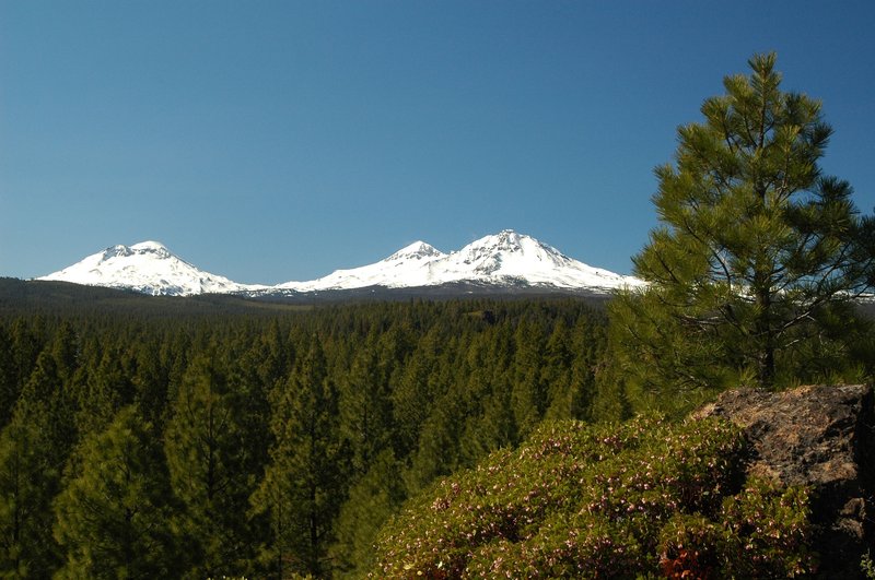 Best Western Ponderosa Lodge - Sisters, OR