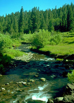 Best Western - Lakeview, OR