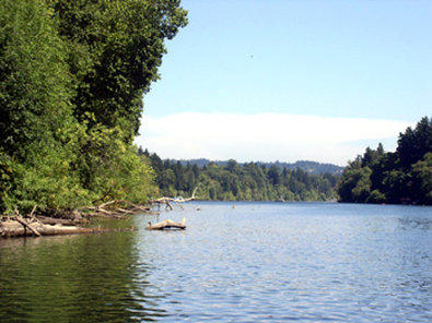 Best Western - Forest Grove, OR