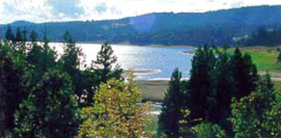 Best Western - Forest Grove, OR