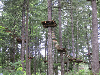Best Western - Forest Grove, OR
