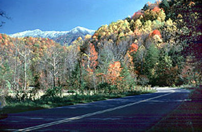 Best Western-Toni - Pigeon Forge, TN