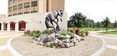 BEST WESTERN PLUS Edinburg Inn & Suites - Edinburg, TX