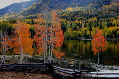 Best Western - Beaver, UT