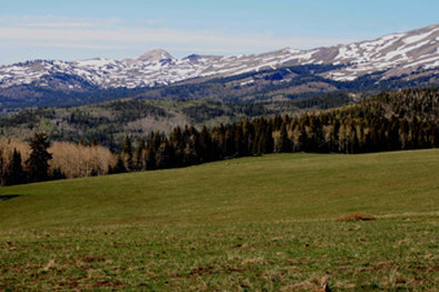 Best Western - Beaver, UT