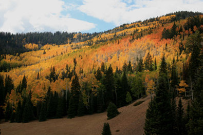 Best Western - Beaver, UT