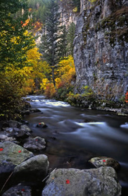 BEST WESTERN PLUS Weston Inn - Logan, UT