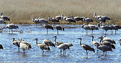 BEST WESTERN Othello Inn - Othello, WA