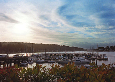 Best Western Plus - Gig Harbor, WA