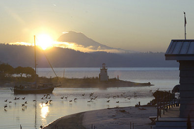 Best Western Plus - Gig Harbor, WA