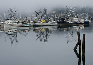 Best Western Plus - Gig Harbor, WA