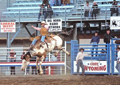 Best Western - Cody, WY