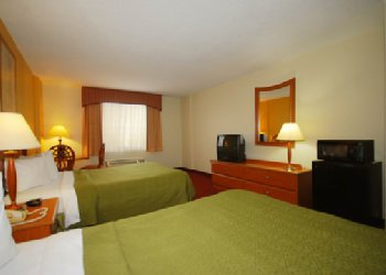Quality Inn & Suites Universal Studios - Room