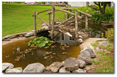 Frog Town Inn - Canadensis, PA