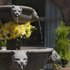 Aranwa Cusco Boutique Hotel