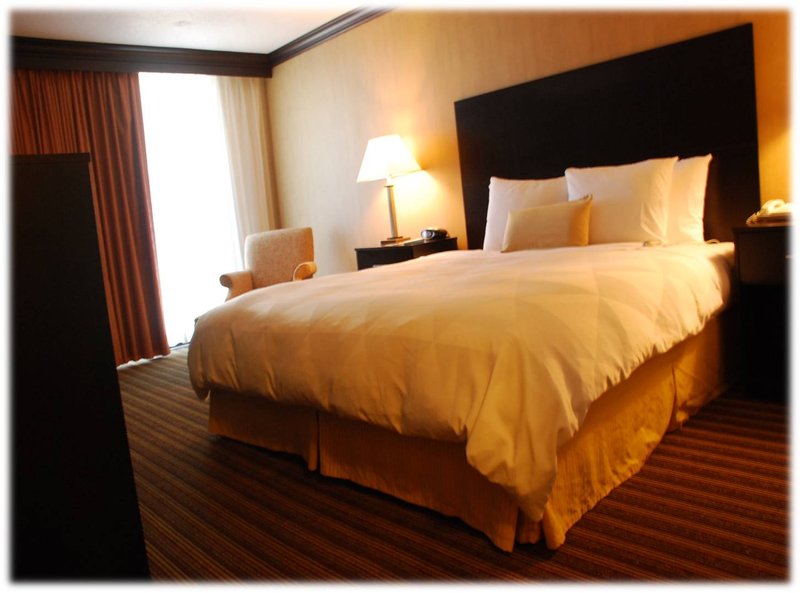 Best Western Plus Schaumburg Hotel & Conference Center - Schaumburg, IL