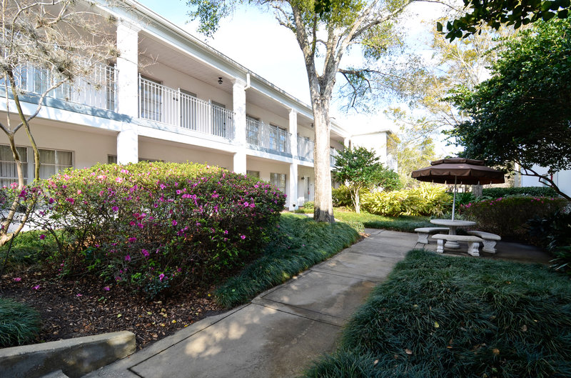 BEST WESTERN Mt. Vernon Inn - Winter Park, FL