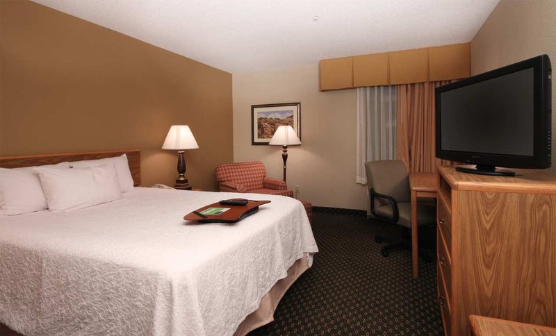Hampton Inn-Jackson - Jackson, MI