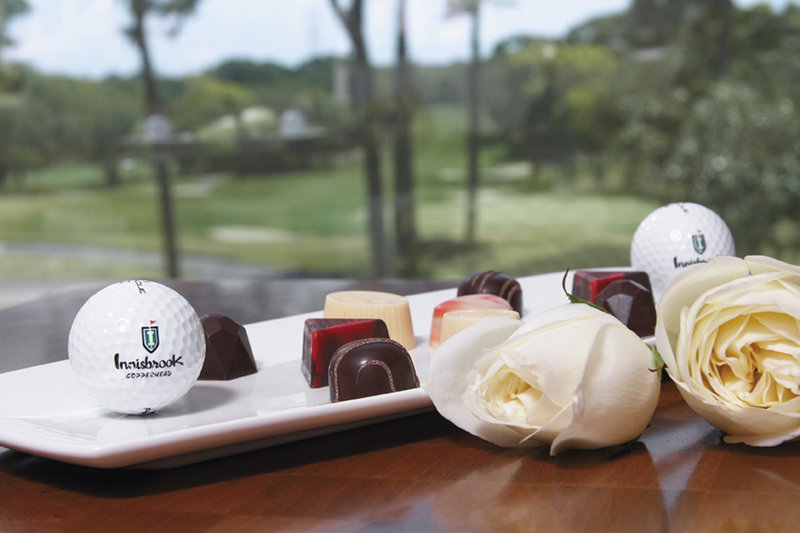 Salamander Innisbrook LLC - Palm Harbor, FL