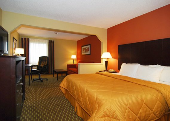 Comfort Inn - Pine Bluff, AR