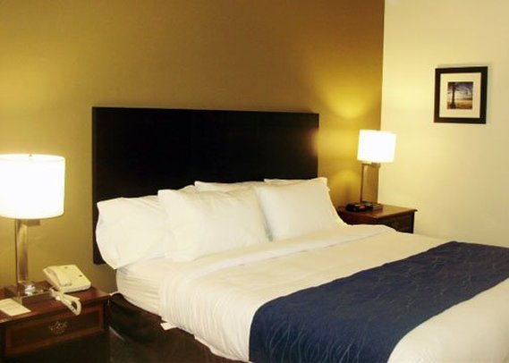 Comfort Inn - Clarksville, TN