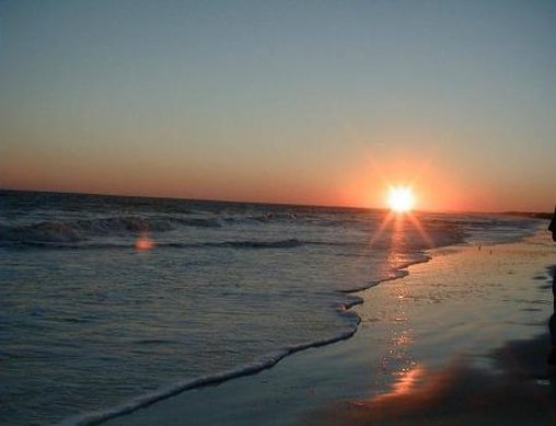 The Palms Hotel - Isle of Palms, SC