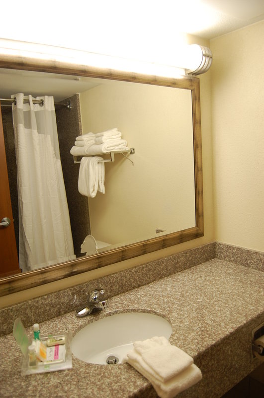 Holiday Inn STAUNTON CONFERENCE CENTER - Staunton, VA