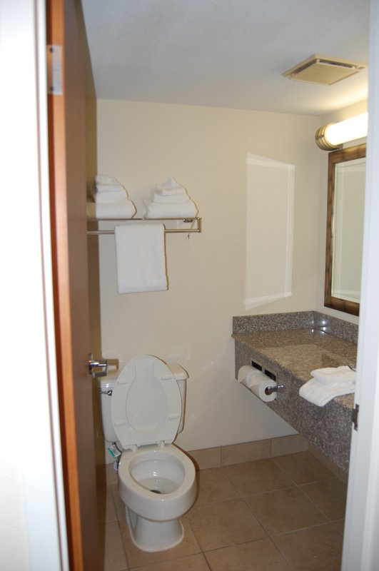 Holiday Inn STAUNTON CONFERENCE CENTER - Staunton, VA