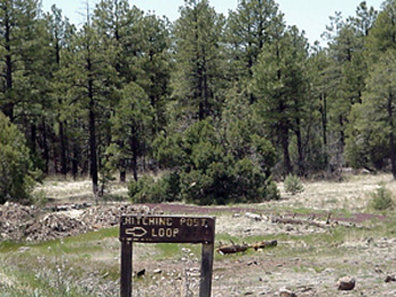 Best Western - Show Low, AZ