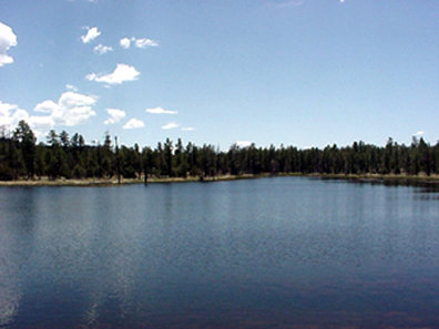 Best Western - Show Low, AZ