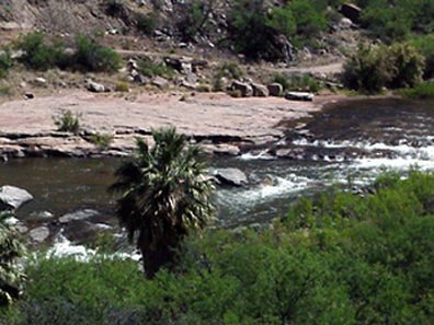 Best Western - Show Low, AZ