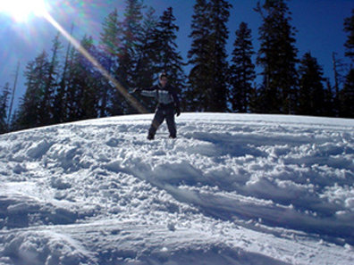 Best Western - Show Low, AZ
