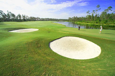 BEST WESTERN Castillo Del Sol - Ormond Beach, FL