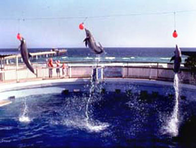Wyndham Garden Fort Walton Beach-Destin FL - Fort Walton Beach, FL