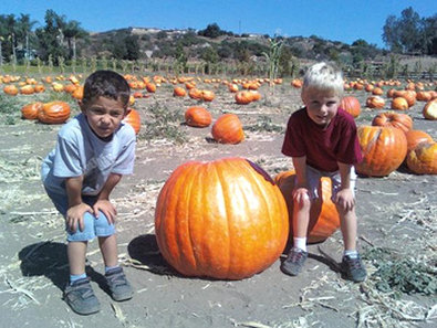 BEST WESTERN Escondido Hotel - Escondido, CA