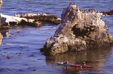 BEST WESTERN PLUS Shelter Cove Lodge - Pismo Beach, CA