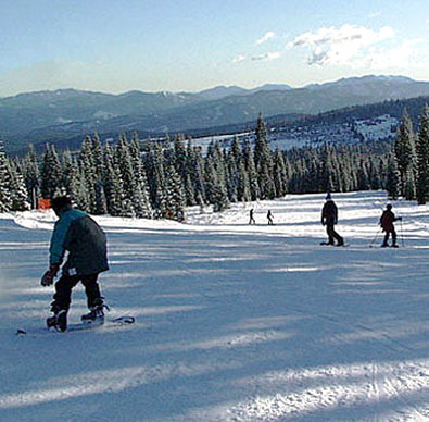 Best Western Plus Tree House - Mount Shasta, CA