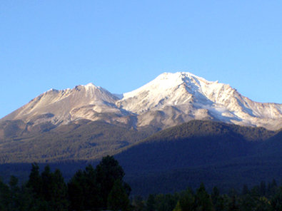 Best Western Plus Tree House - Mount Shasta, CA