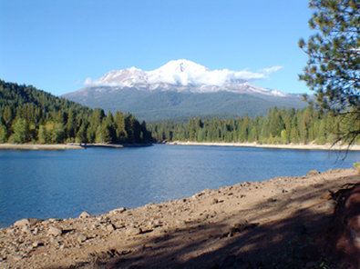 Best Western Plus Tree House - Mount Shasta, CA