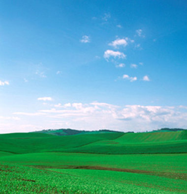 BEST WESTERN PLUS University Inn - Moscow, ID