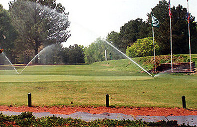 Best Western - Waynesboro, GA