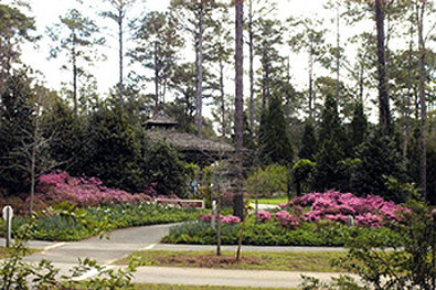 Best Western - Peachtree City, GA