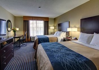 Comfort Inn & Suites Smyrna - Room