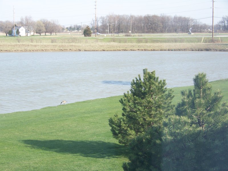 Holiday Inn Express - Rockford, OH