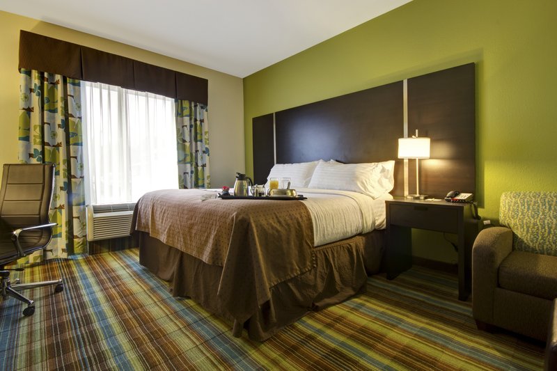 Holiday Inn CHRISTIANSBURG BLACKSBURG - Christiansburg, VA