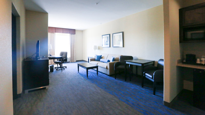 Holiday Inn HOUSTON-WEBSTER - Webster, TX