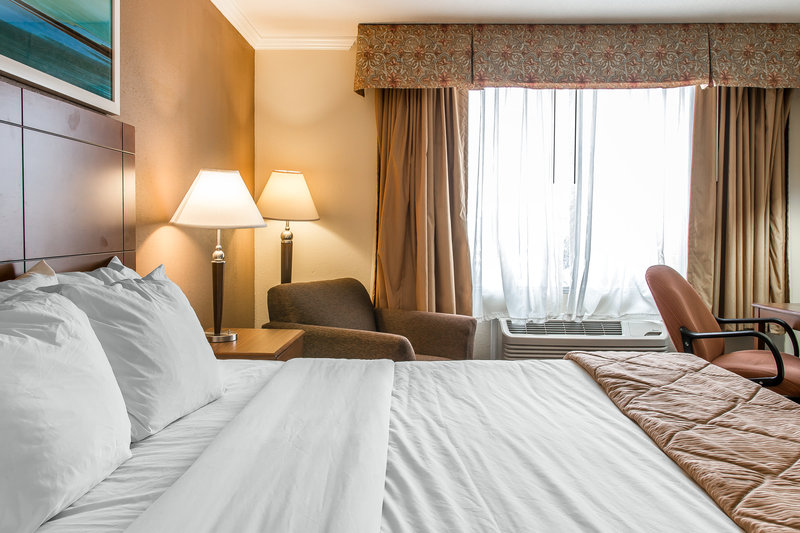 Clarion Hotel Detroit Metro Airport - Romulus, MI