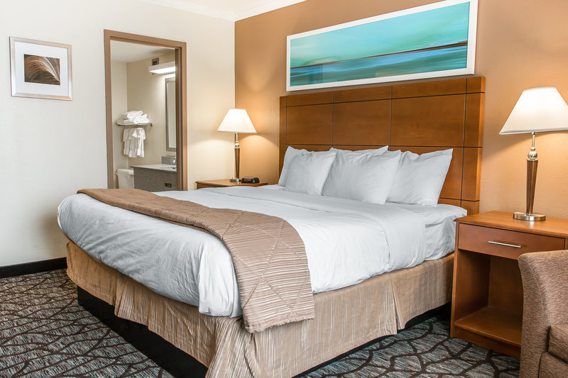 Clarion Hotel Detroit Metro Airport - Romulus, MI
