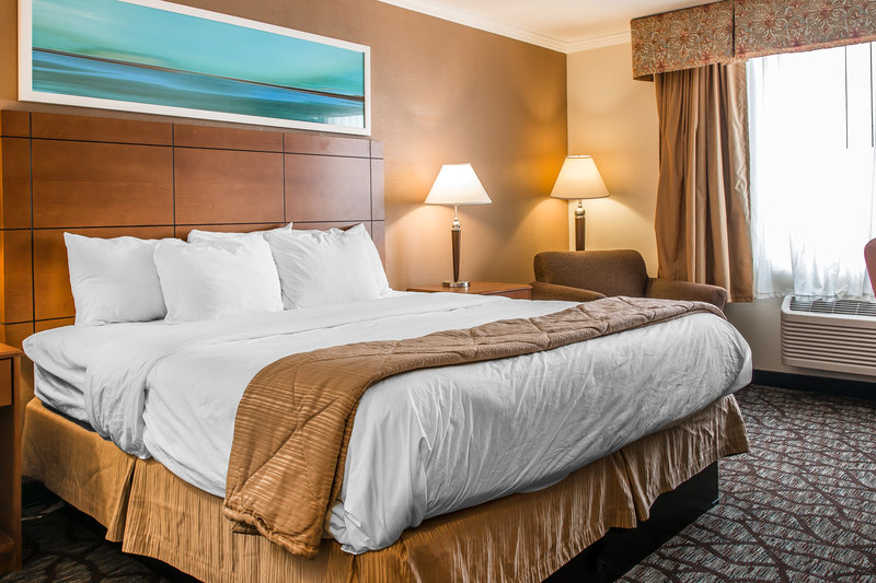 Clarion Hotel Detroit Metro Airport - Romulus, MI